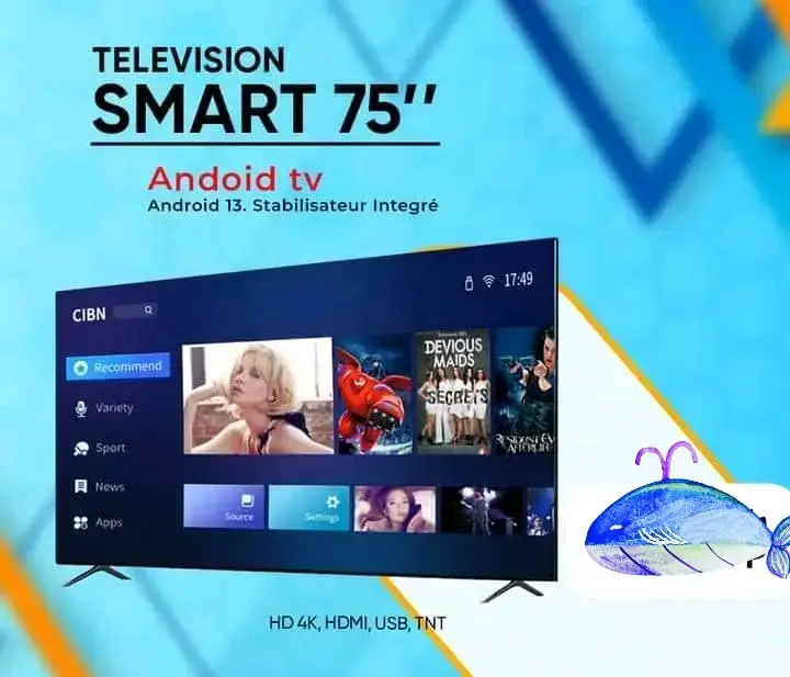 Smart Télévision de 75" avec stabilisateur intégré