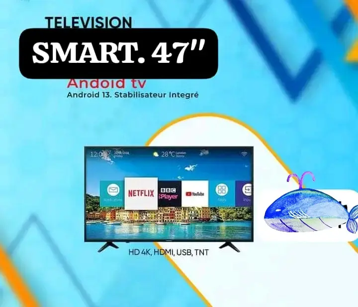 Smart Télévision de 47" avec stabilisateur intégré