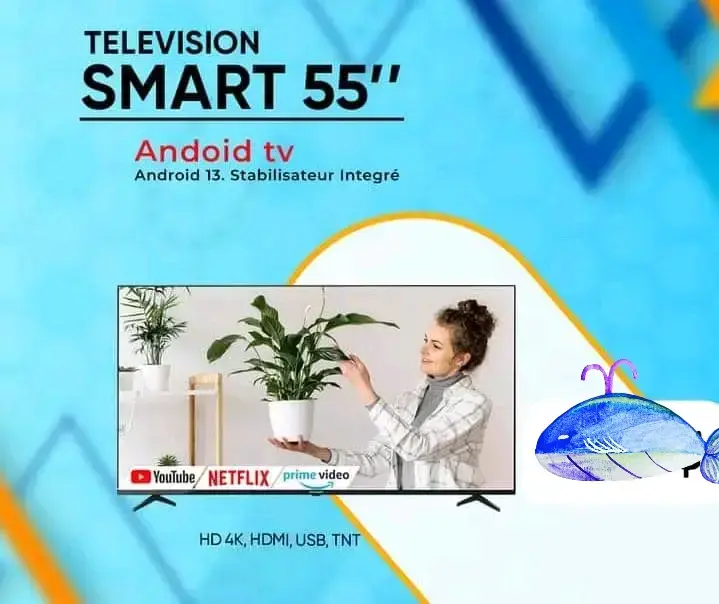 Smart Télévision 55 pouces