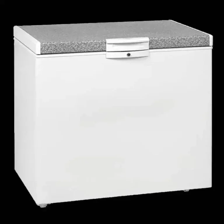 Congélateur Defy 254 litres