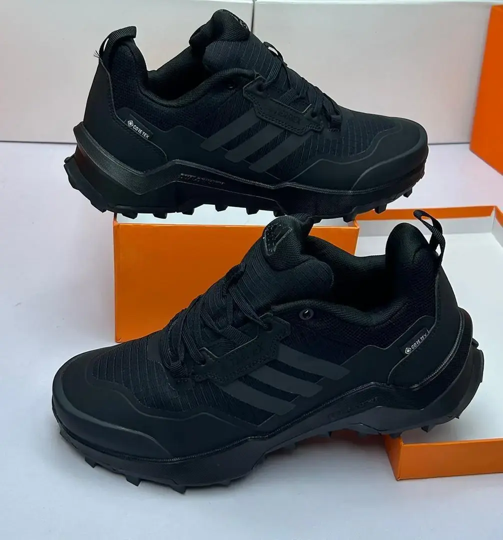 Adidas Terrex AX4 Gore-Tex